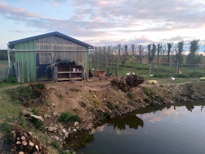Le Haumerand (Gite), Chambre d'Hôtes à Entrammes