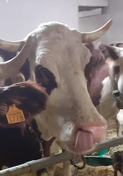 grondin myriam chambre d'hotes, Chambre d'Hôtes à Glère