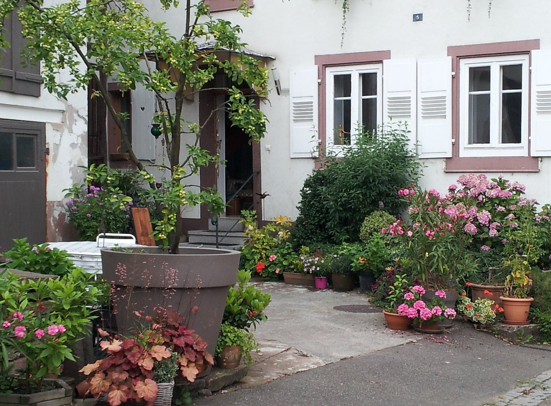 La Renardière, Chambre d'Hôtes à Reichshoffen