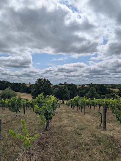 Chateau La Corne, Location de Vacances au Pian-sur-Garonne