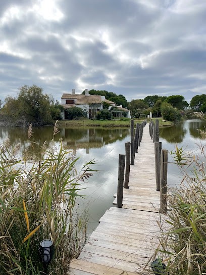 Gîte Mas Lou Kif, Chambre d'Hôtes à Saintes-Maries-de-la-Mer