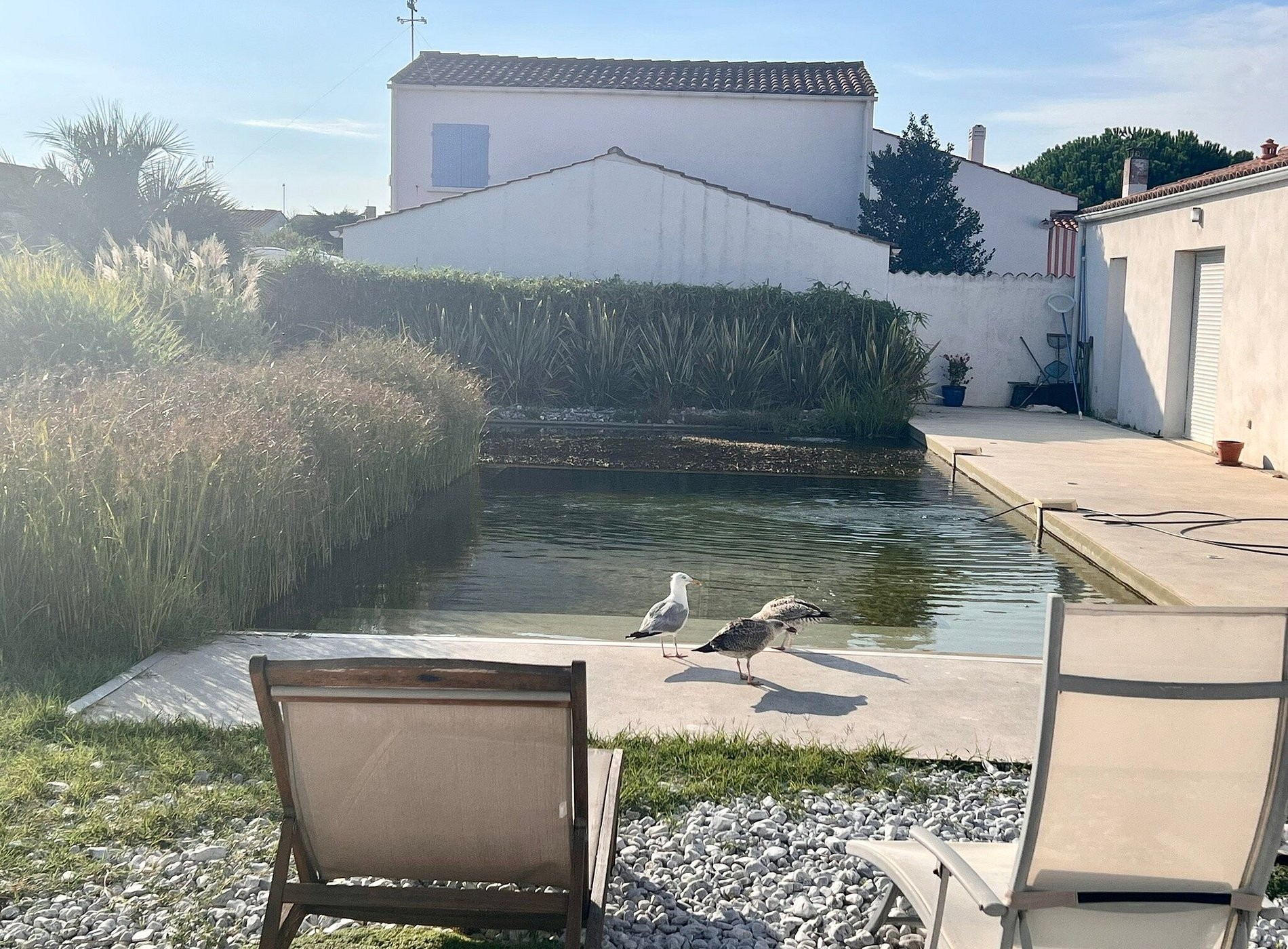 Les Mouettes, Chambre d'Hôtes à Saint-Pierre-d'Oléron