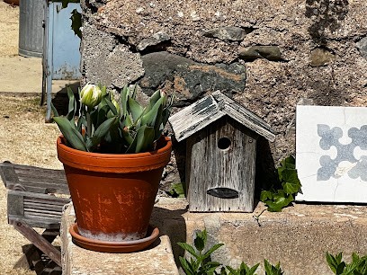La Souche, Chambre d'Hôtes à Saint-Chinian