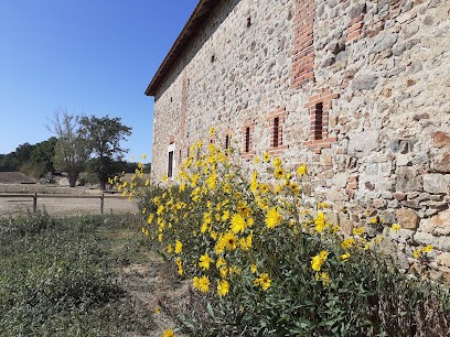 Chambres d'Hôtes La Grande Chaume, Chambre d'Hôtes à Cressanges