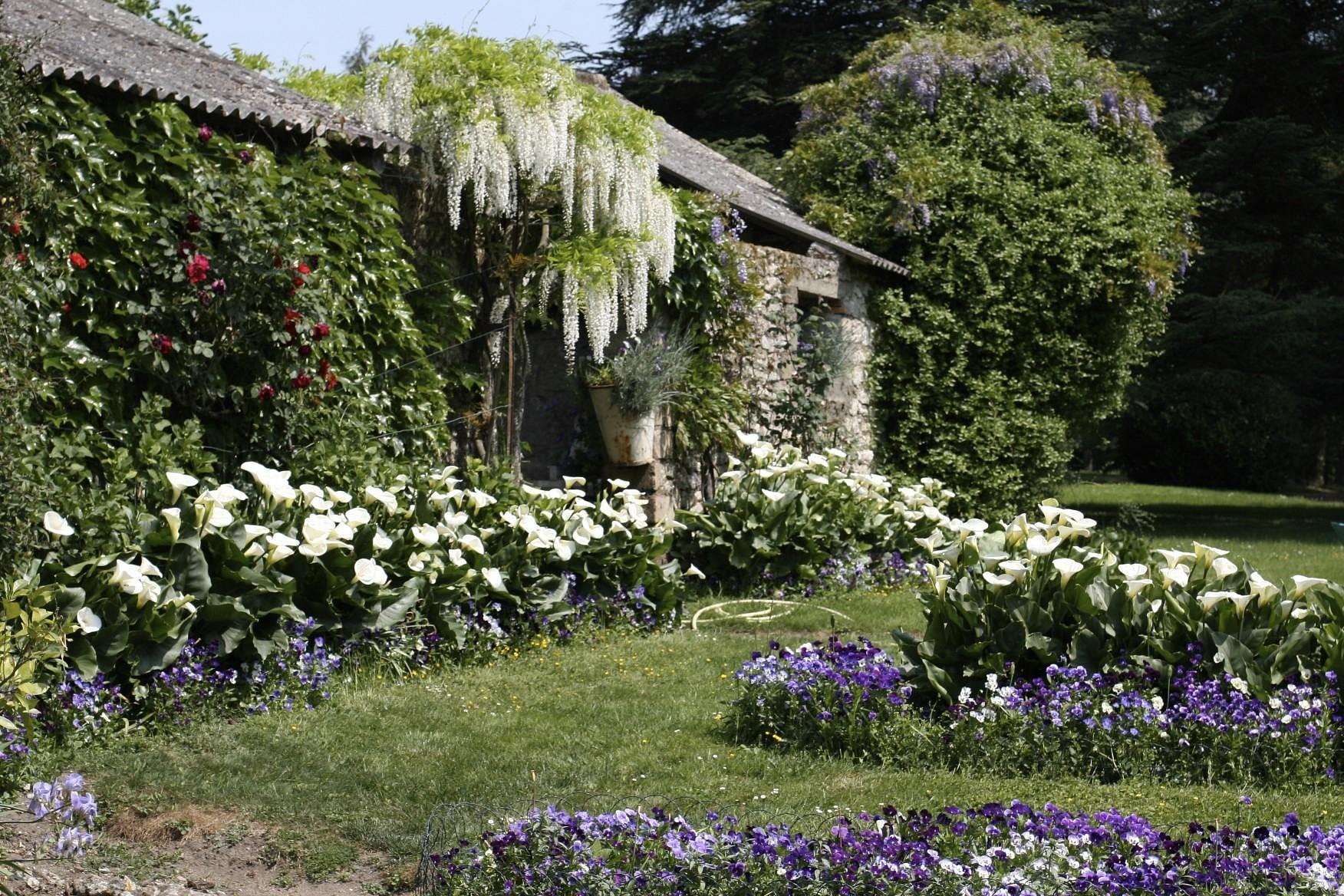 The Bee Fly, Chambre d'Hôtes à Meung-sur-Loire