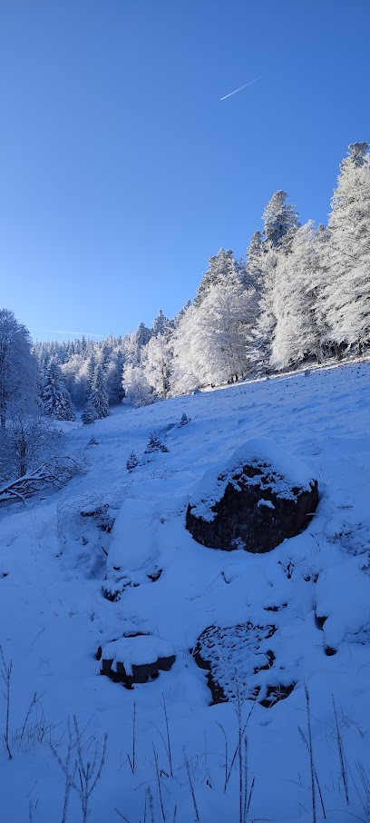 Les Gîtes De La Ferme Du Schneeberg, Location de Vacances à Wangenbourg-Engenthal