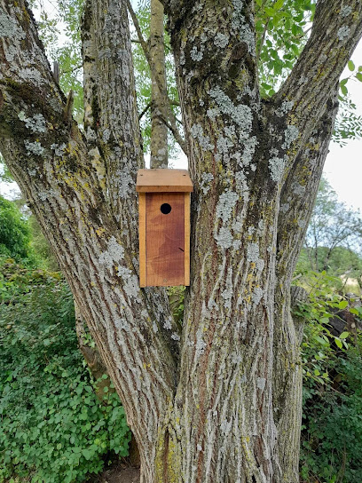 Gite Ô Naturel, Location De Vacances à Buzancy