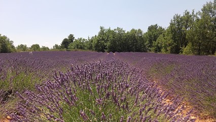 Les Gîtes De La Haute Maure, Location de Vacances à Flayosc