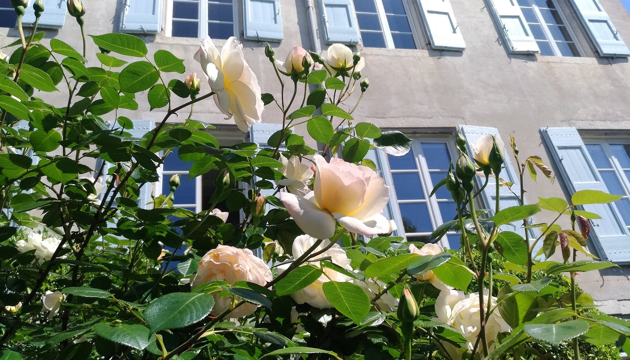 Chambres D'hôtes La Carrierrasse, Chambre d'Hôtes à Saint-Hippolyte-du-Fort