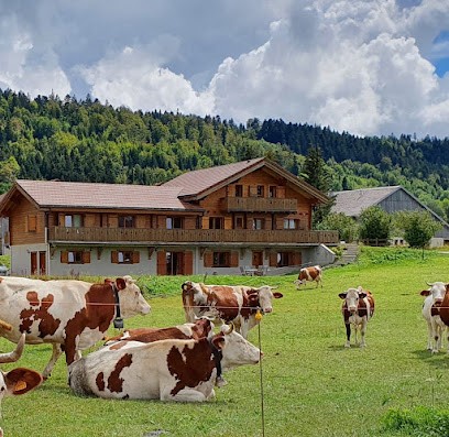 Chambres D'hôtes - Les Dolines, Chambre d'Hôtes à La Chaux