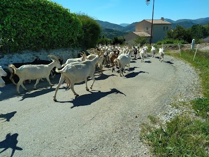 Merindol Perotti Brigitte, Chambre d'Hôtes à Bellecombe-Tarendol