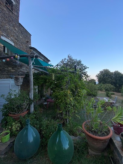 Casa D’anghione, Chambre d'Hôtes à Cervione