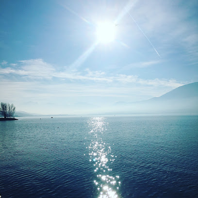 Mysplendide.com, Location De Vacances à Aix-les-Bains