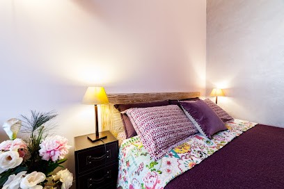 Le Chat Perché, Chambre d'Hôtes à Lyon 05