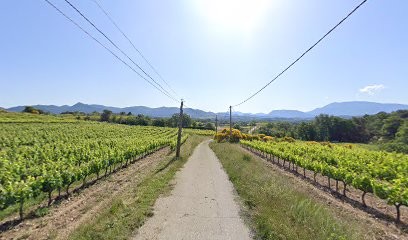 Mas La Ribambelle, Chambre d'Hôtes à Puyméras