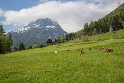 Chalet Le Polaly, Location de Vacances à Vallorcine