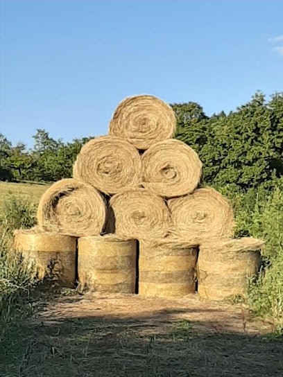 BED AND BREAKFAST FAMILY THE BIG WALNUT, Chambre d'Hôtes à Ambronay