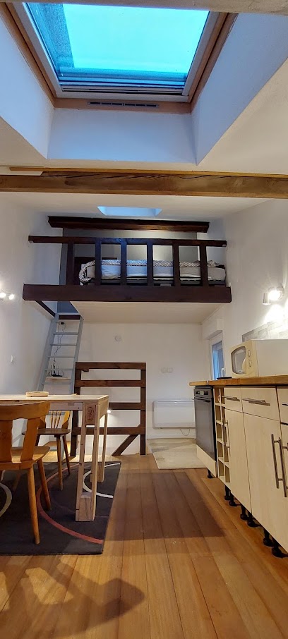 Studio Atypique, Location De Vacances à Thaon-les-Vosges