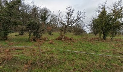 La Chambre d'hôtes, Chambre d'Hôtes à Calviac-en-Périgord