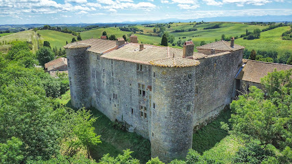 Chambres Et Table D'hôtes Au Château De Mézerville, Chambre D'hôtes à Mézerville