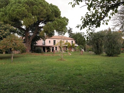 Mas de Villedieu, Maison d'Hôtes à Mauguio