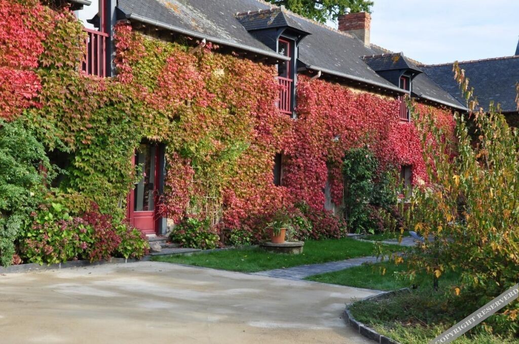Maison D'hôtes De L'Huardière, Chambre d'Hôtes à La Chapelle-Thouarault