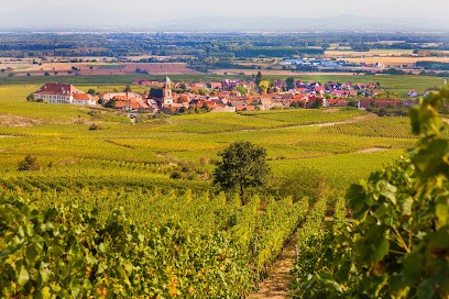 Vins et chambres d'Hôtes François Bleger, Chambre d'Hôtes à Saint-Hippolyte