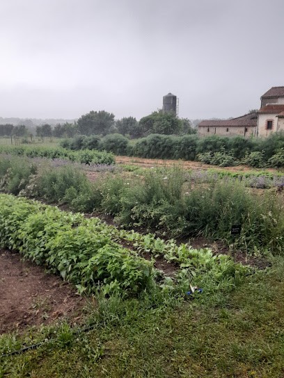 Ferme Brin de Laine Brin de Paille, Chambre d'Hôtes à Sèvremoine